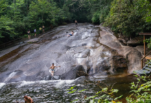 places to swim in near me