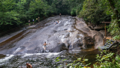 places to swim in near me